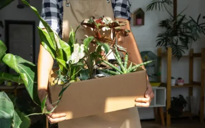 Transporting Plants When Moving